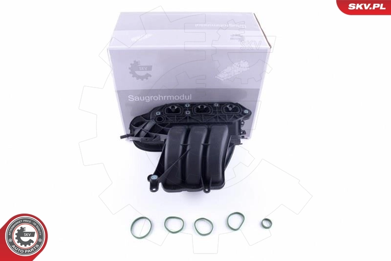 Intake Manifold Module